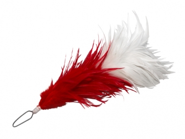 Kapaunstutzen verschiedene Farben und Größen