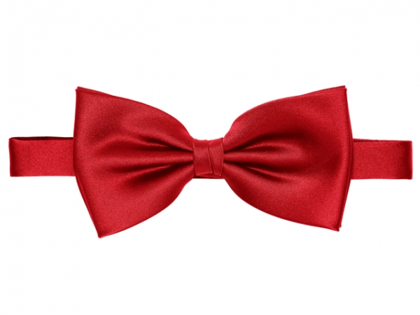 Fliege aus Atlasseide