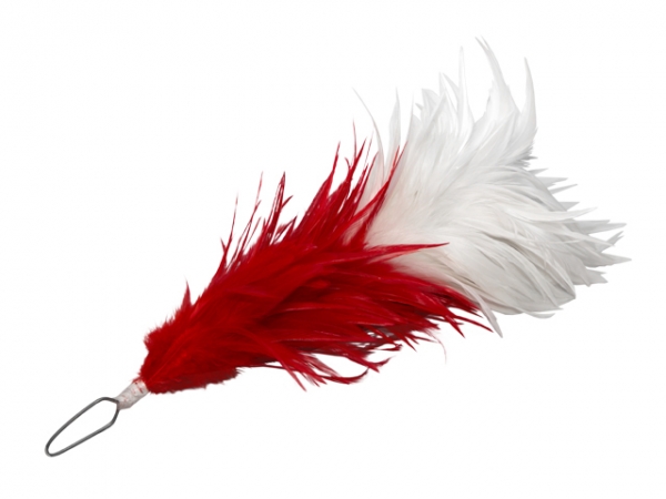 Kapaunstutzen verschiedene Farben und Größen