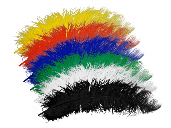 Straussenfeder